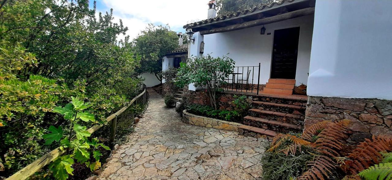 Finca Valbono Apartamentos Rurales Y Hotel Aracena Ngoại thất bức ảnh