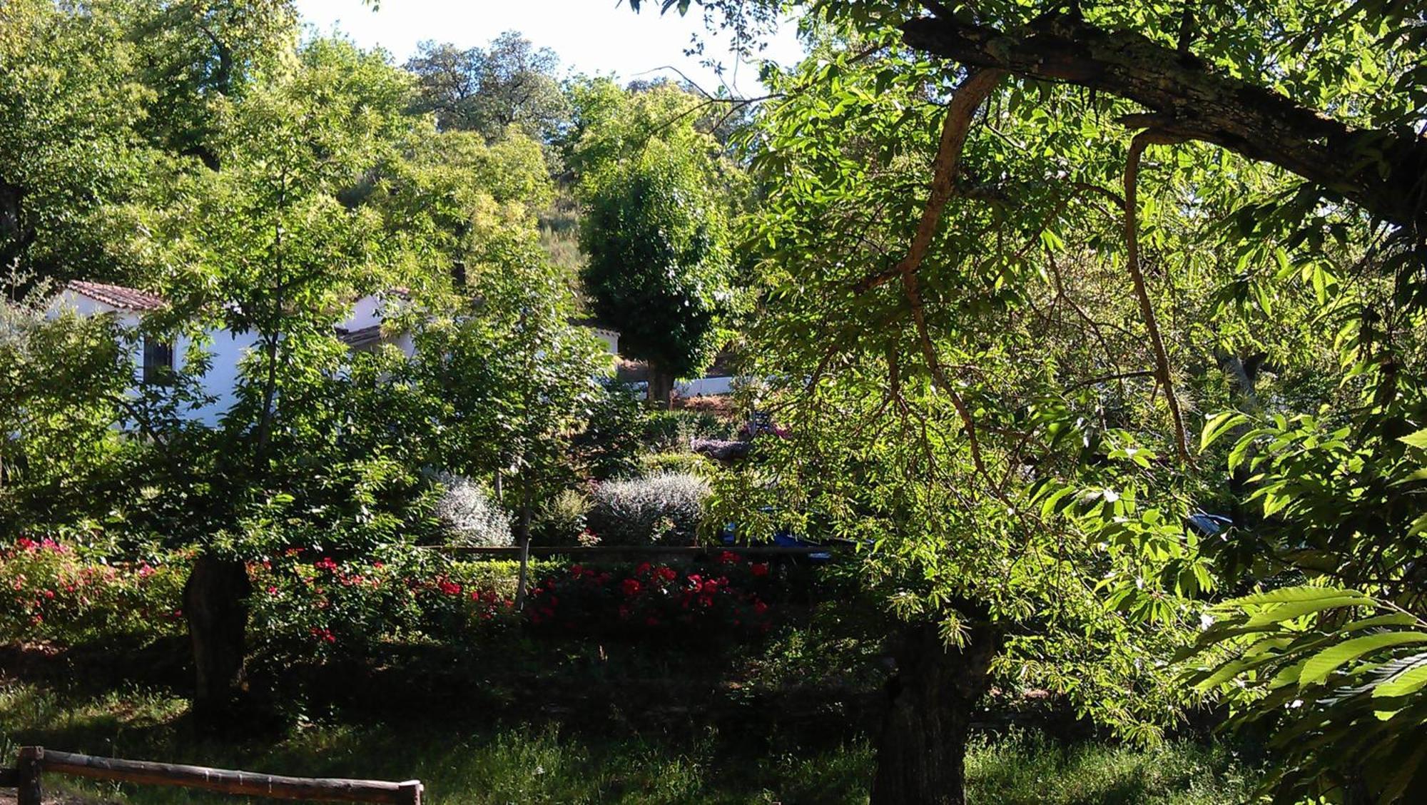 Finca Valbono Apartamentos Rurales Y Hotel Aracena Ngoại thất bức ảnh